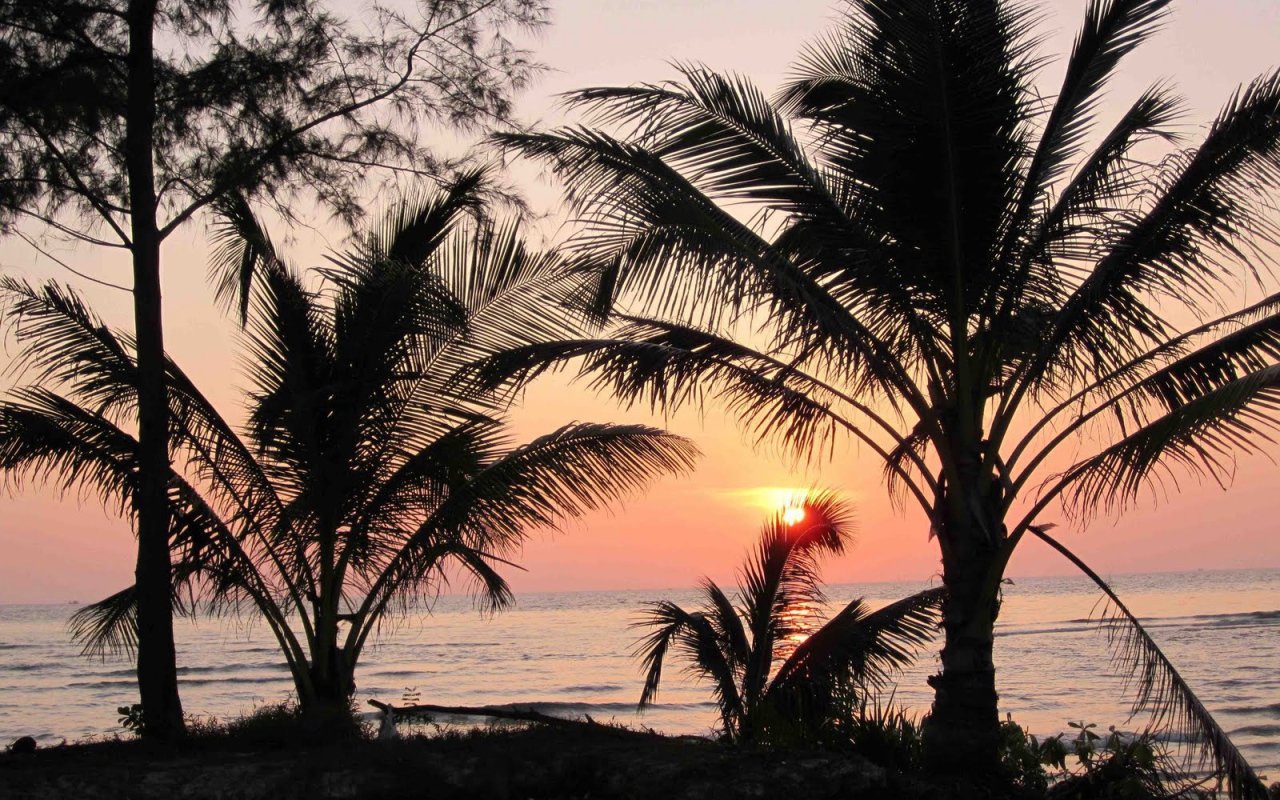 Закат среди пальм на острове Ко Куд, Таиланд