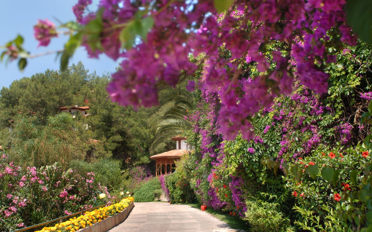 На курорте Фетхие, Турция