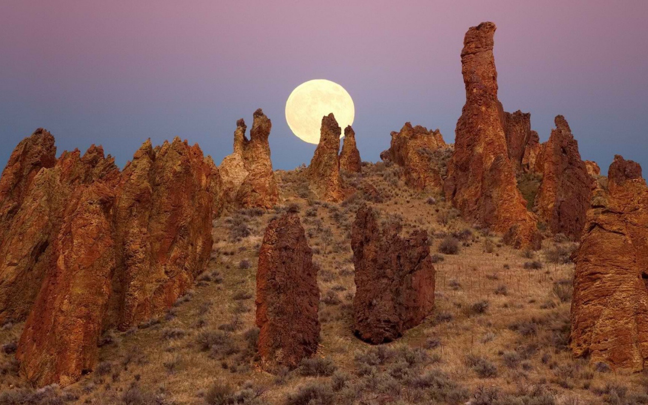 Каменные столбы в Орегоне