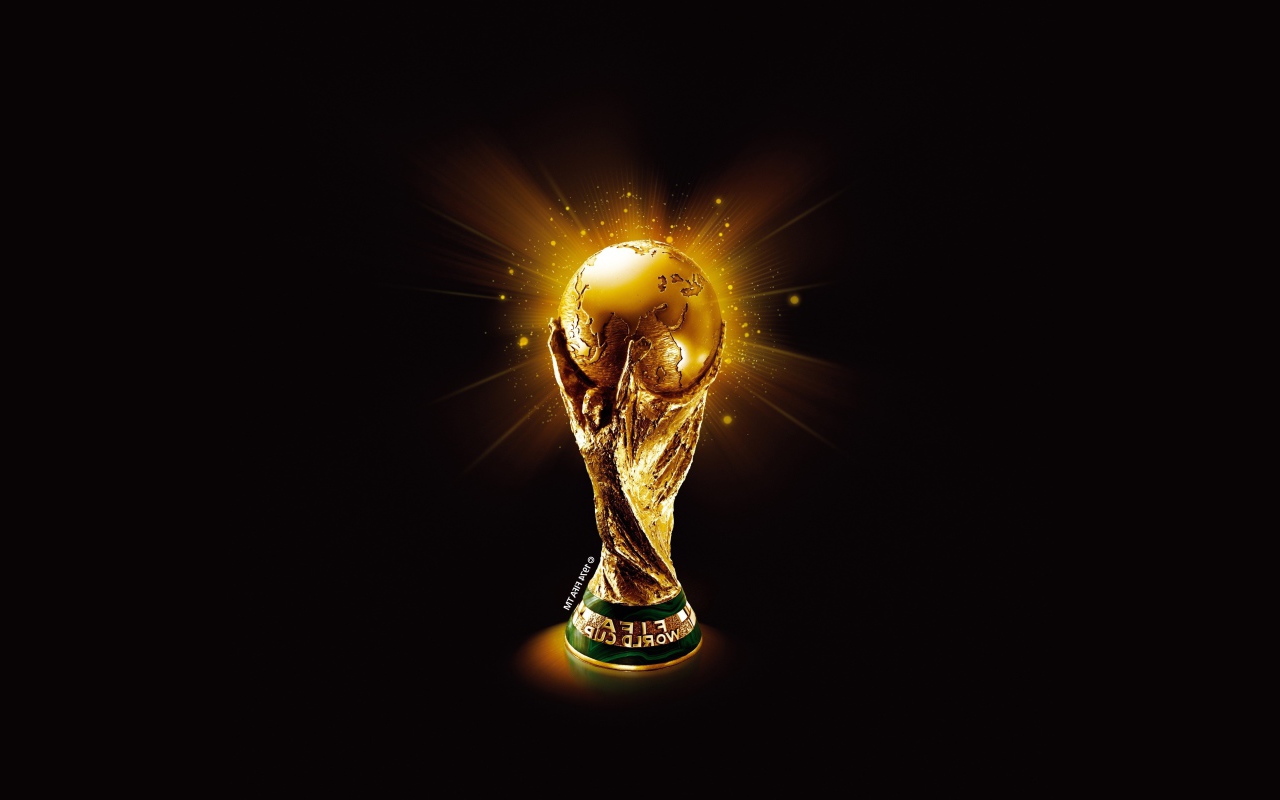 Кубок Чемпионата Мира по футболу в Бразилии 2014