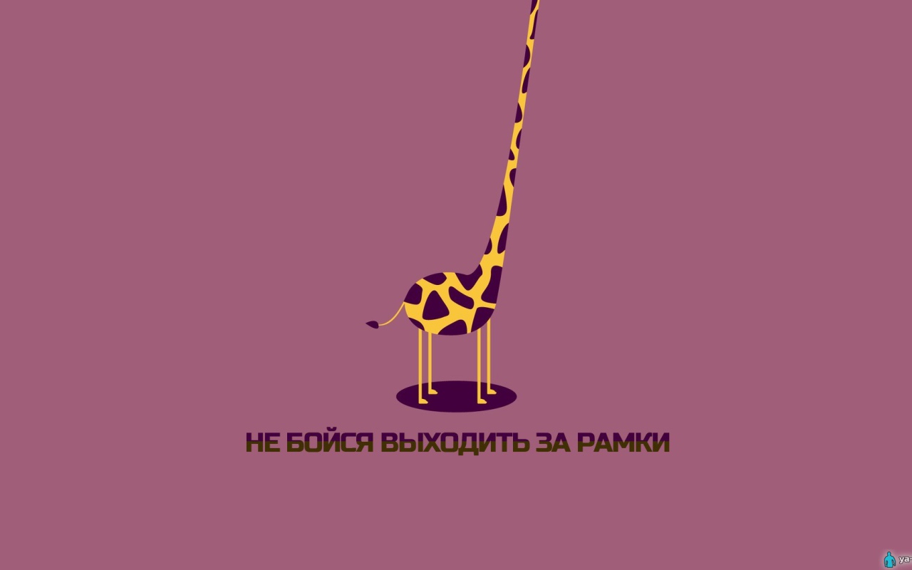 Не бойся выходить за рамки