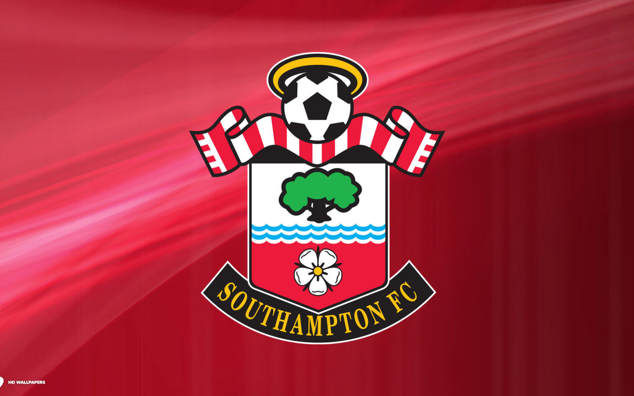 Знаменитый Футбольный клуб Саутгемптон