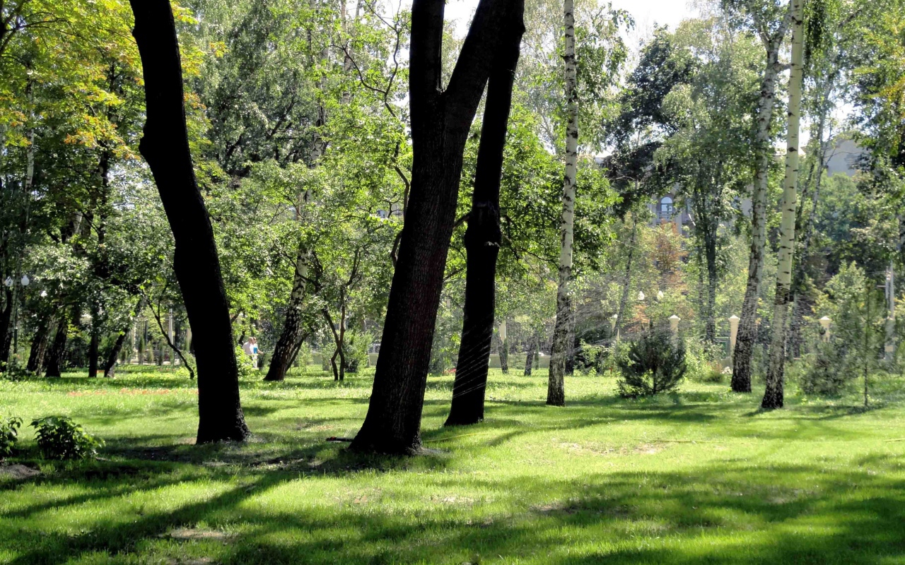 Леса в Харькове