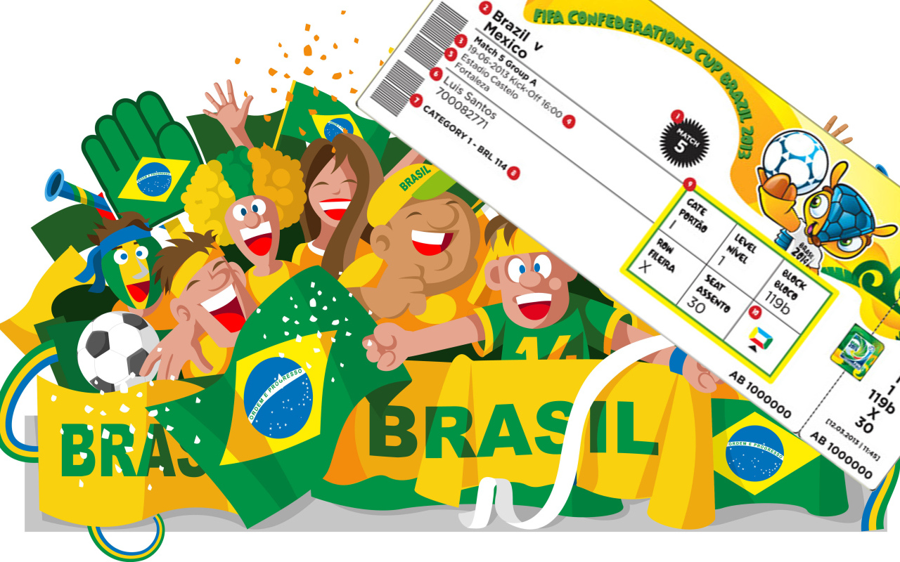 Билет на игру на Чемпионате мира по футболу в Бразилии 2014