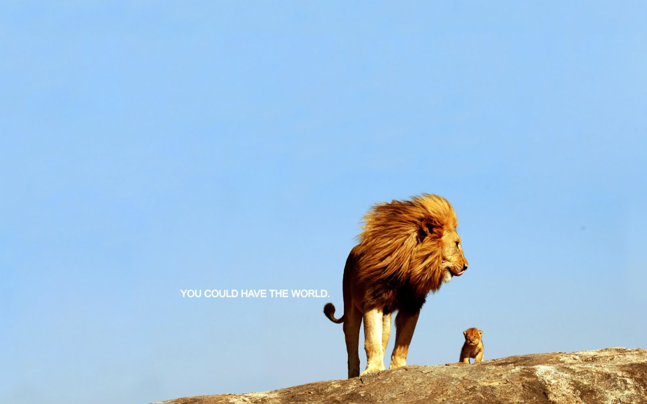 Ты можешь покорить весь мир