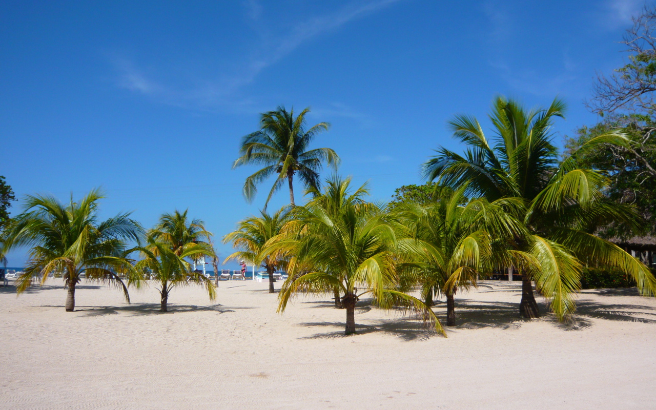 Замечательное место в Гаити