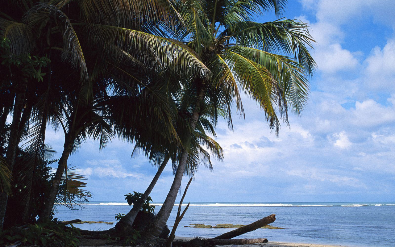 Невероятная страна Коста-Рика