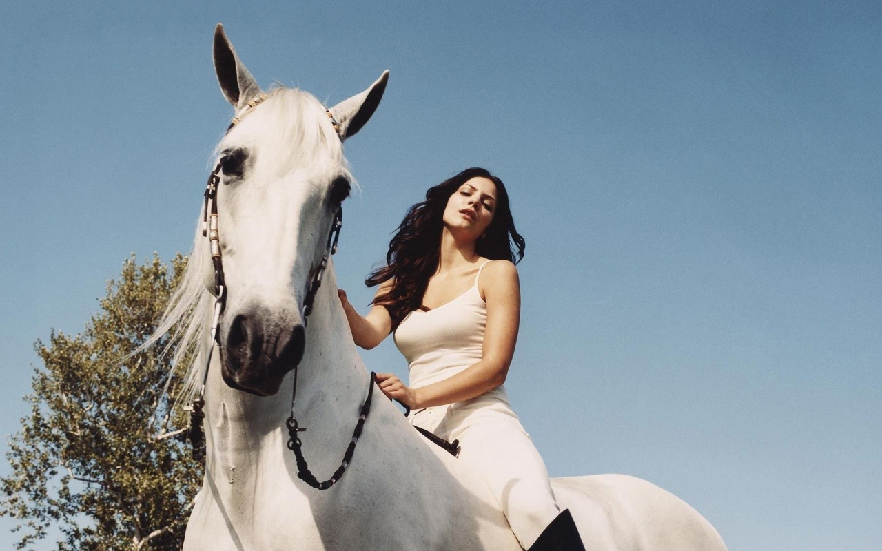 	   Katharina on the white horse