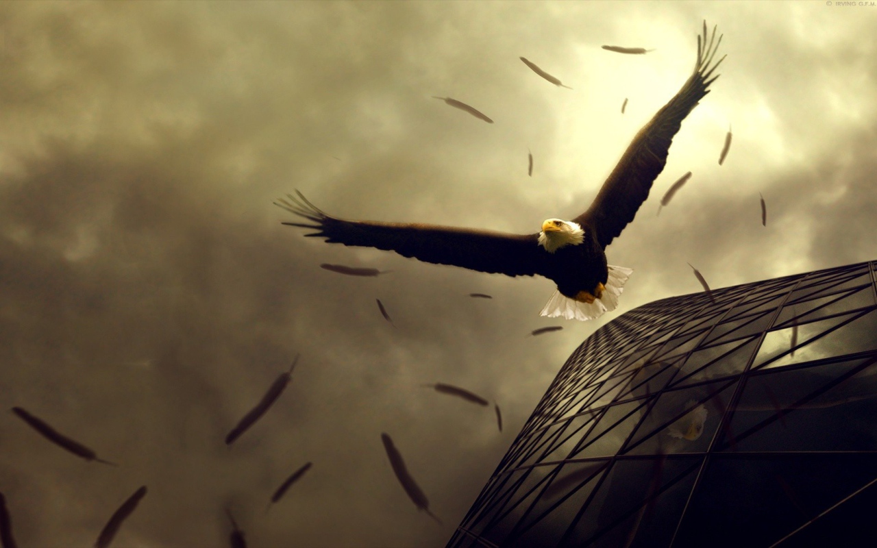 Орел теряет перья в полете