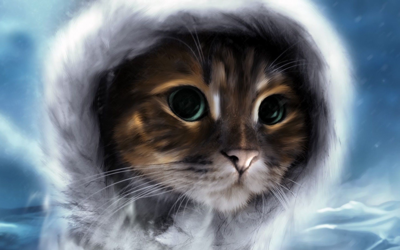 Кот в меховом капюшоне
