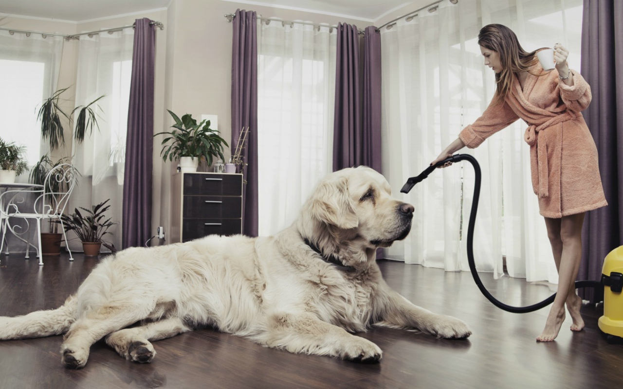 Хозяйка пылесосит собаку