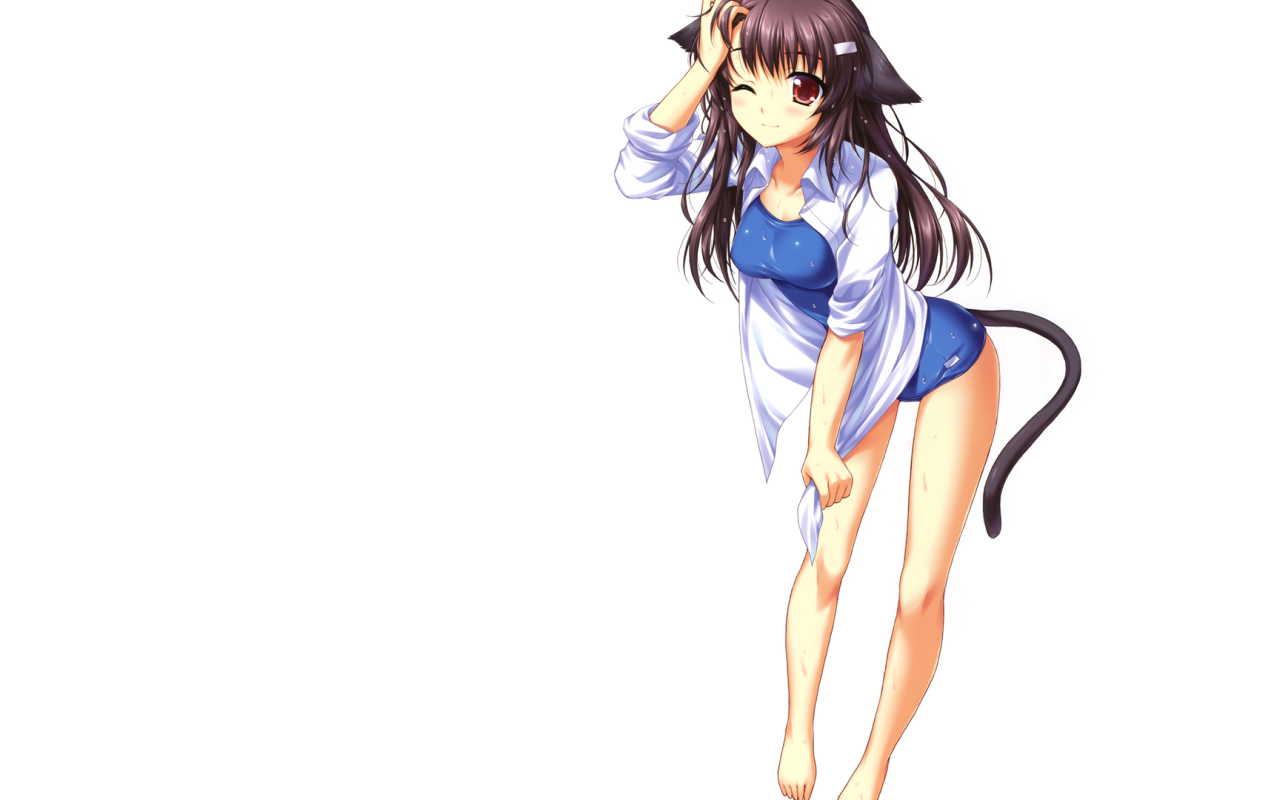 Девушка кошка, аниме Neko Para