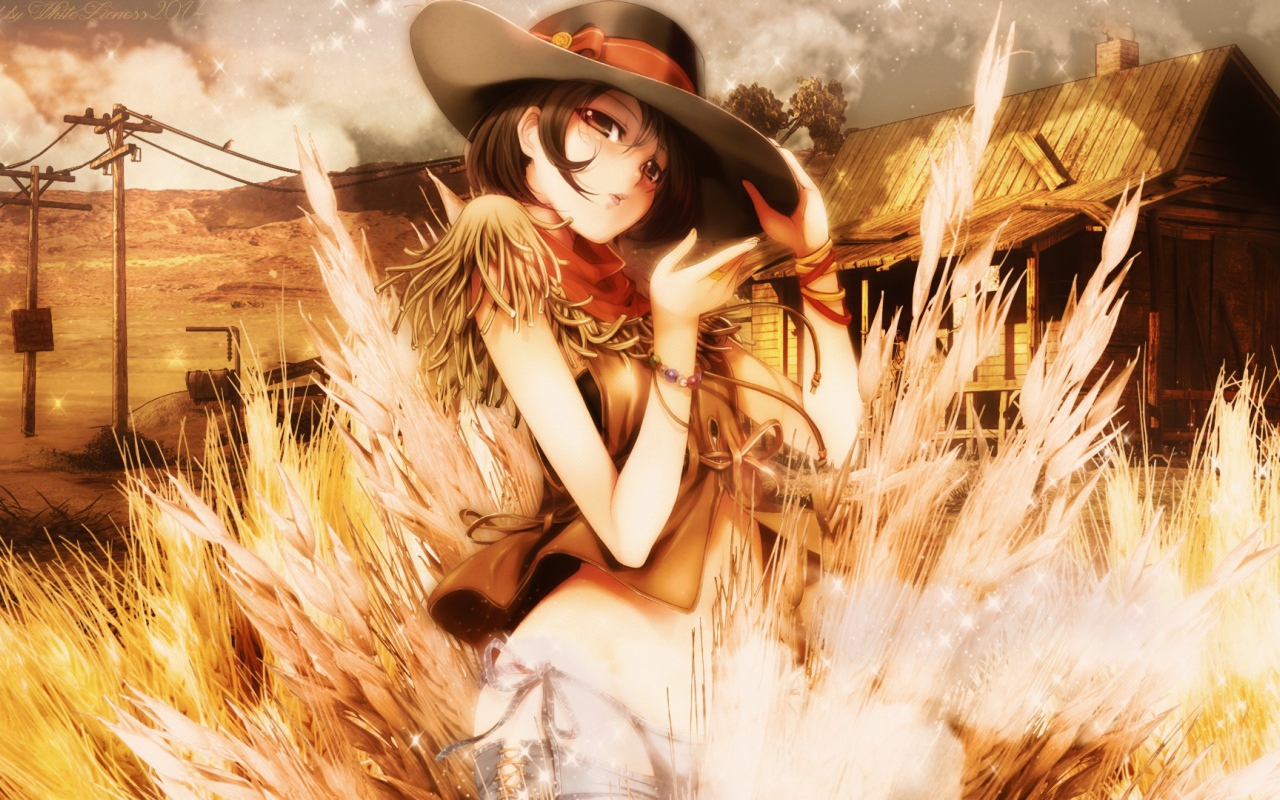 Девушка в шляпе, манга аниме