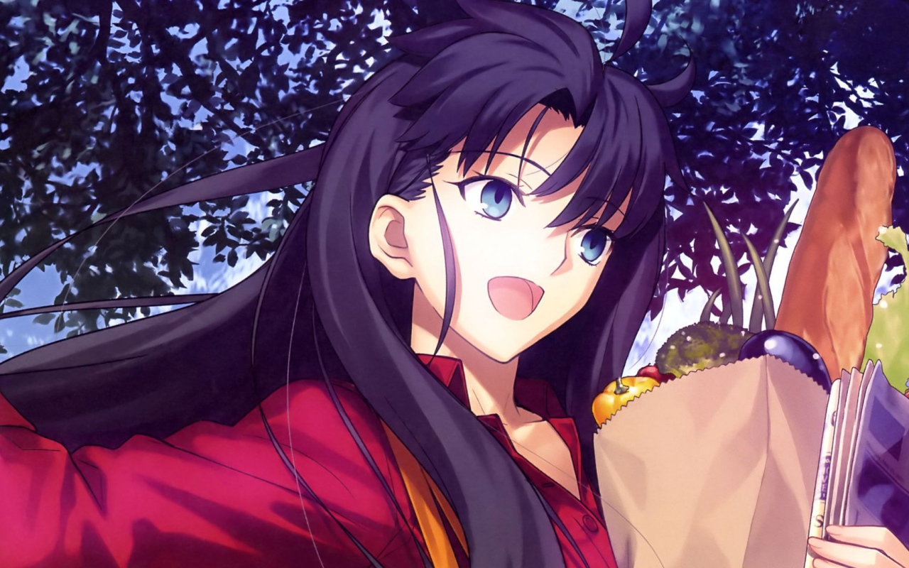 Тосака Рин, аниме Ночь прибытия