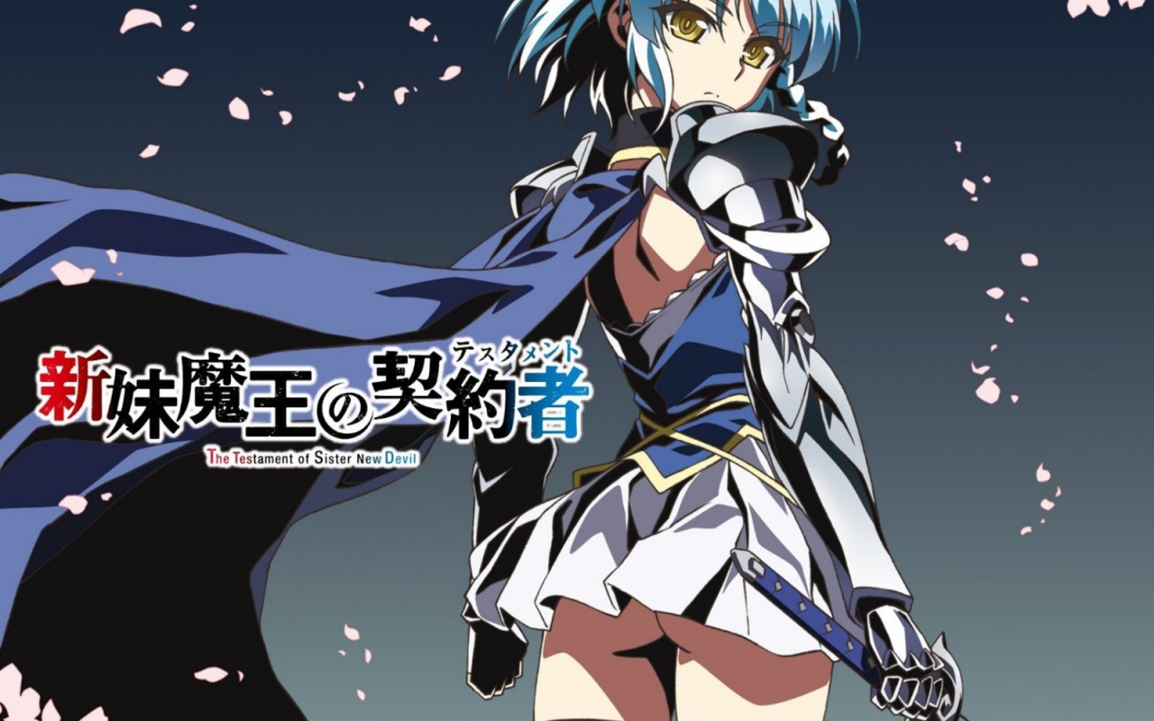 Юкки Нонака из аниме По велению адской сестры