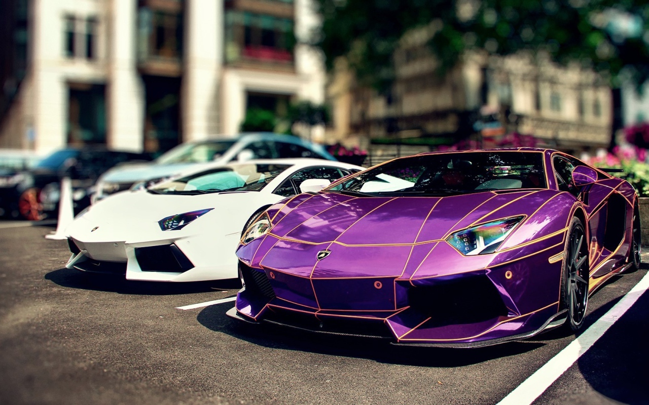 Сиреневый и белый Ламборгини
