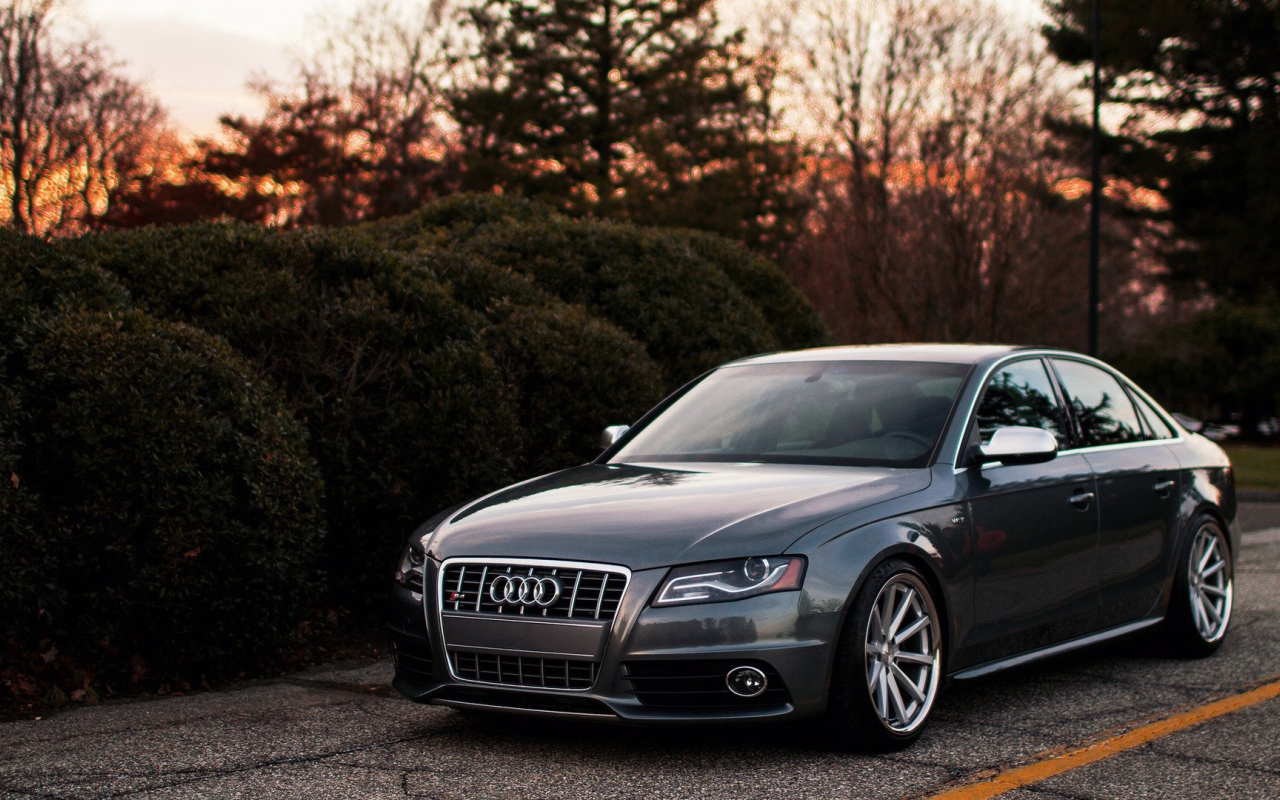 Темно серый Ауди у живой изгороди