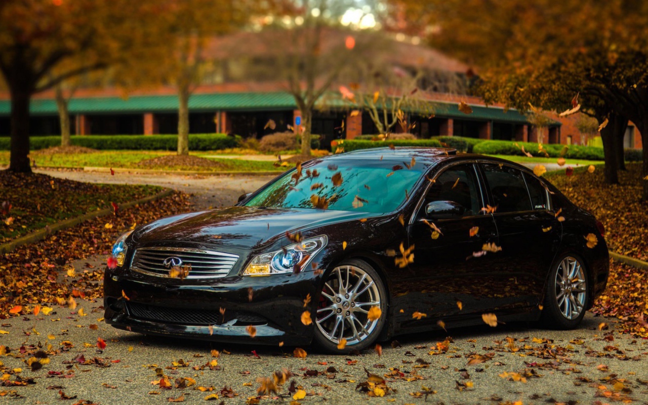 Автомобиль Infiniti в осеннем парке