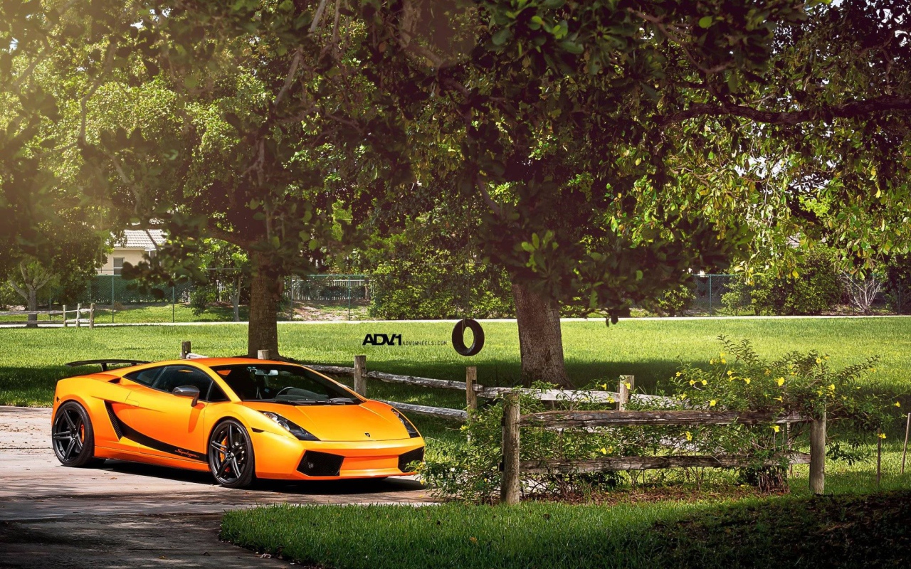 Оранжевый Lamborghini у фермерского забора