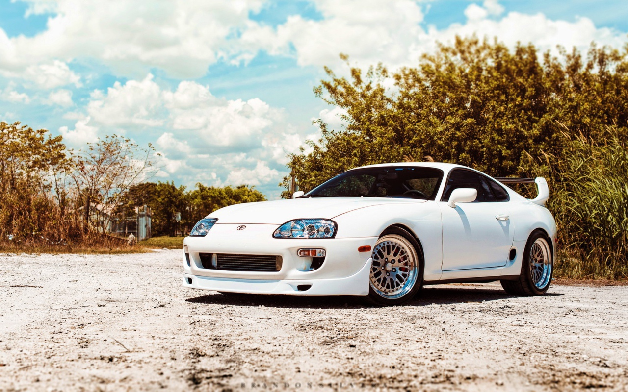 Белая Toyota Supra на фоне зелени