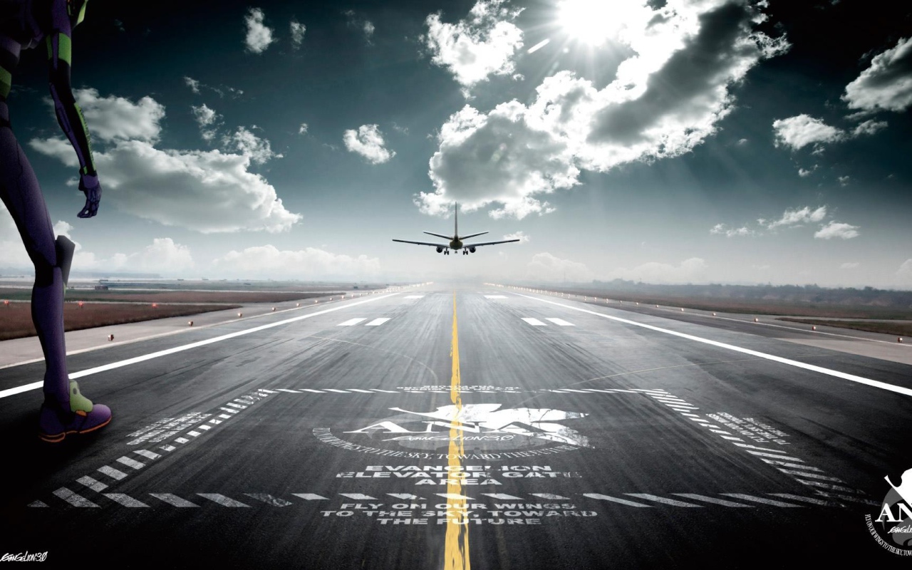 Самолет заходит на посадку