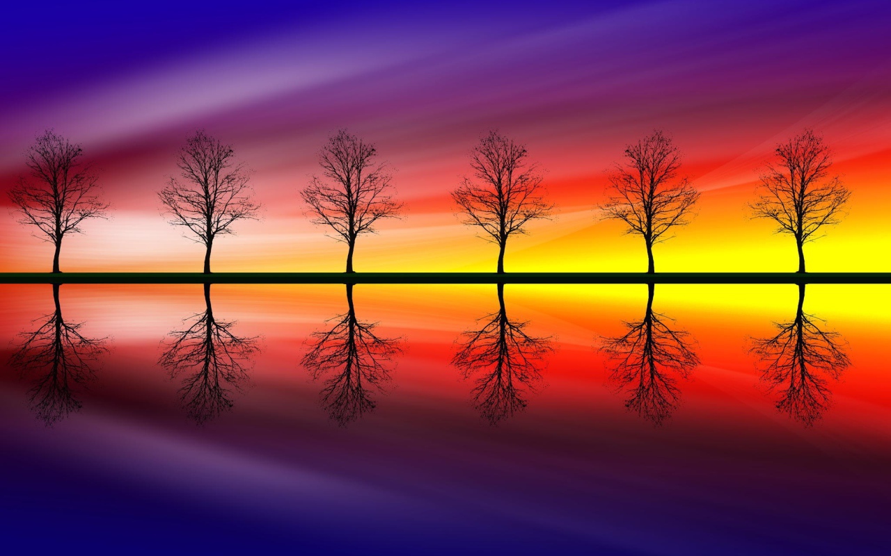 Голые деревья на фоне красочного заката