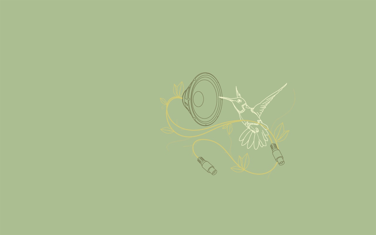 Колибри поет, серый фон