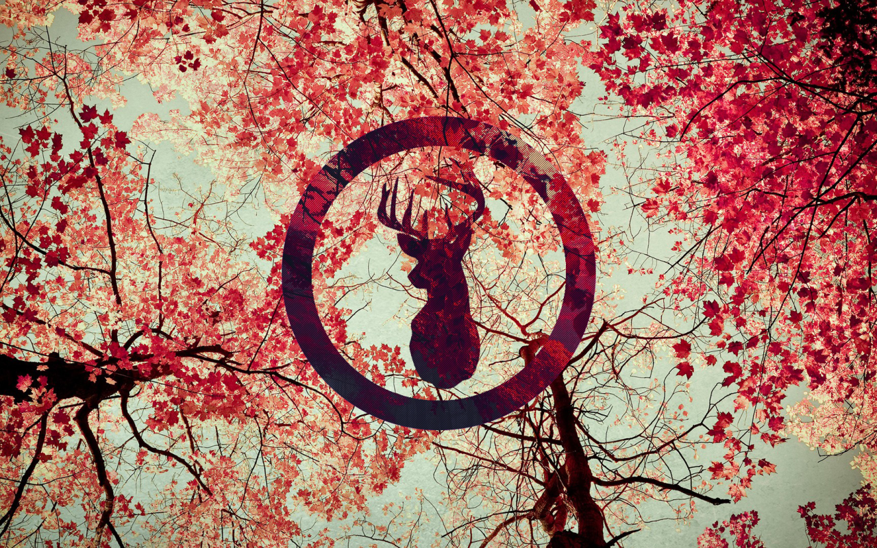 Силуэт оленя на фоне осенних листьев