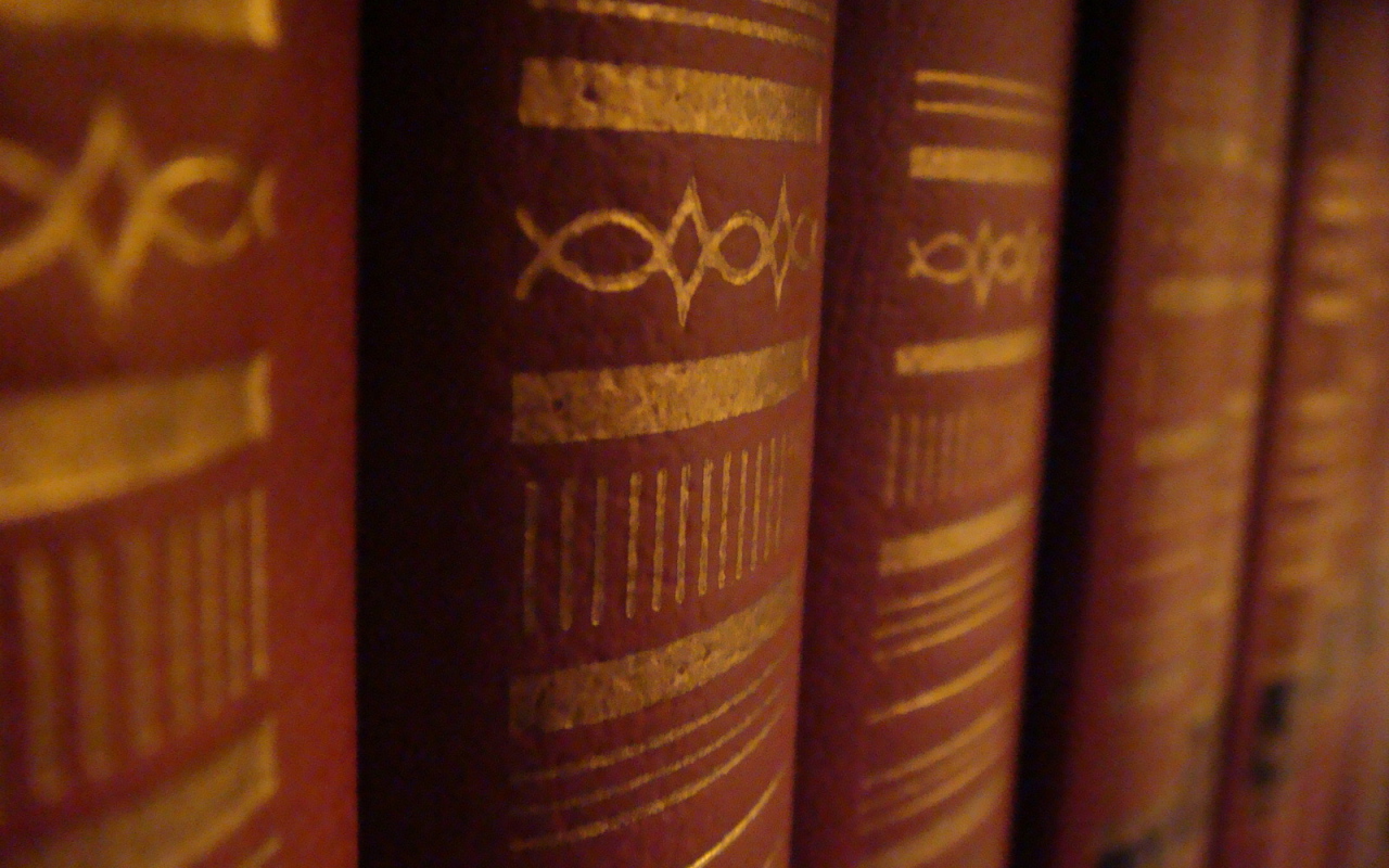 Корешки книг