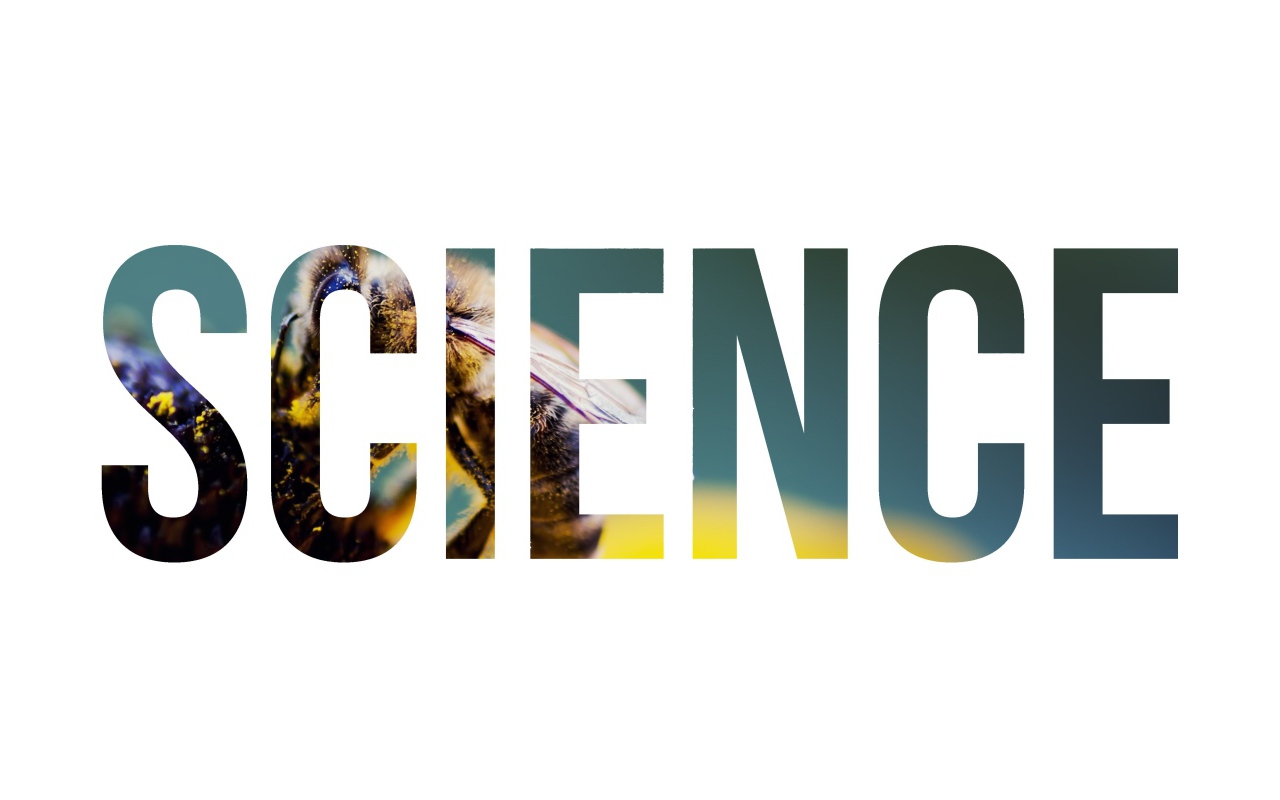 Надпись Наука на фоне пчелы