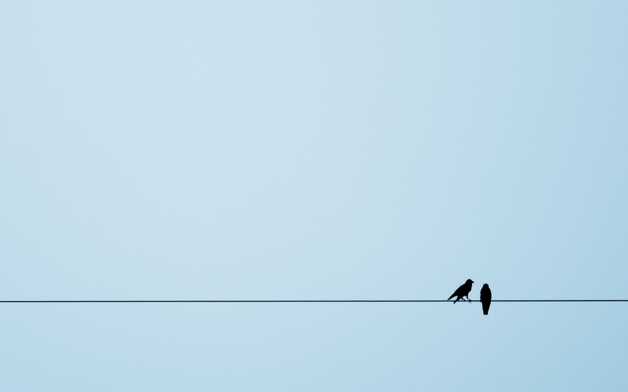 Две птицы на канате, голубой фон