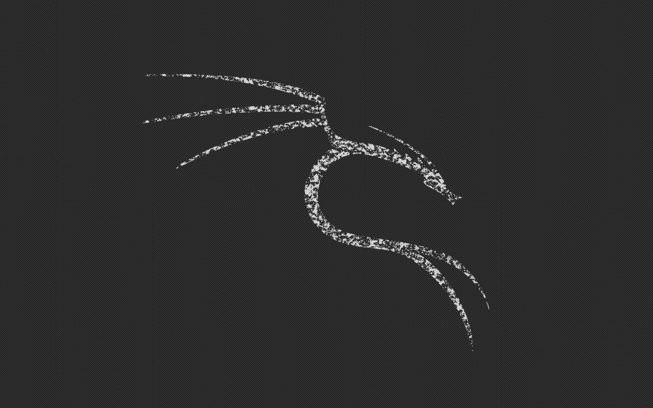 Белый дракон Kali Linux NetHunter