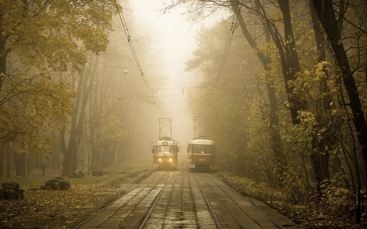 Два трамвая на линии в городском парке