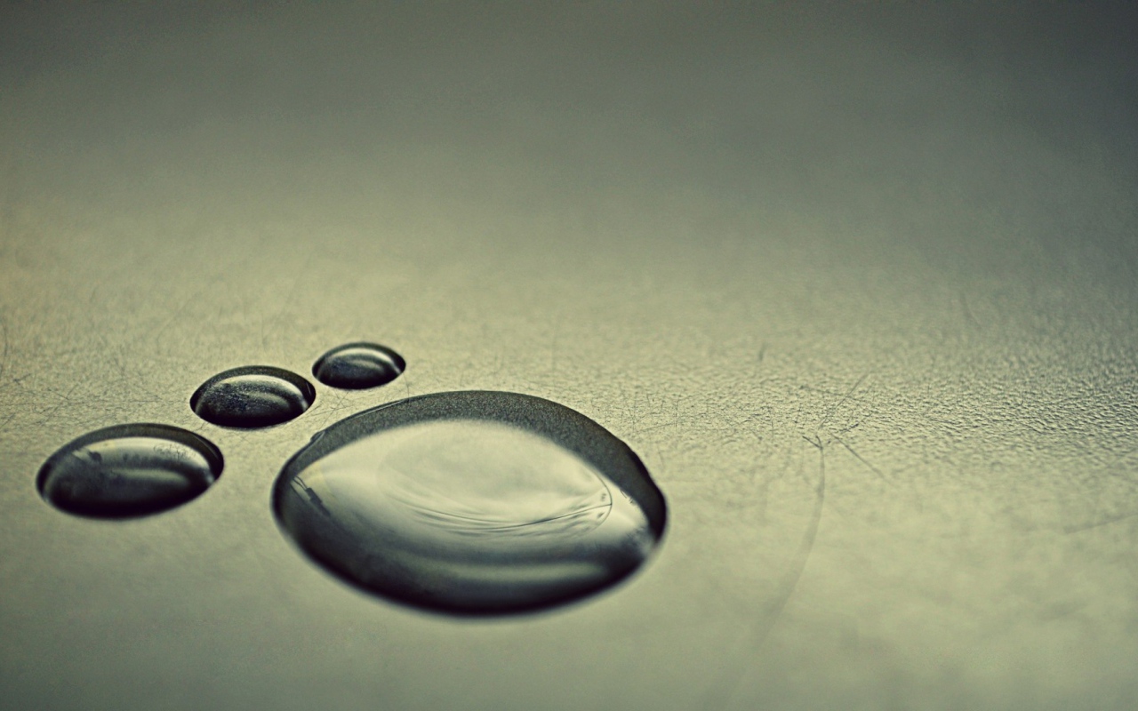 След из капель воды