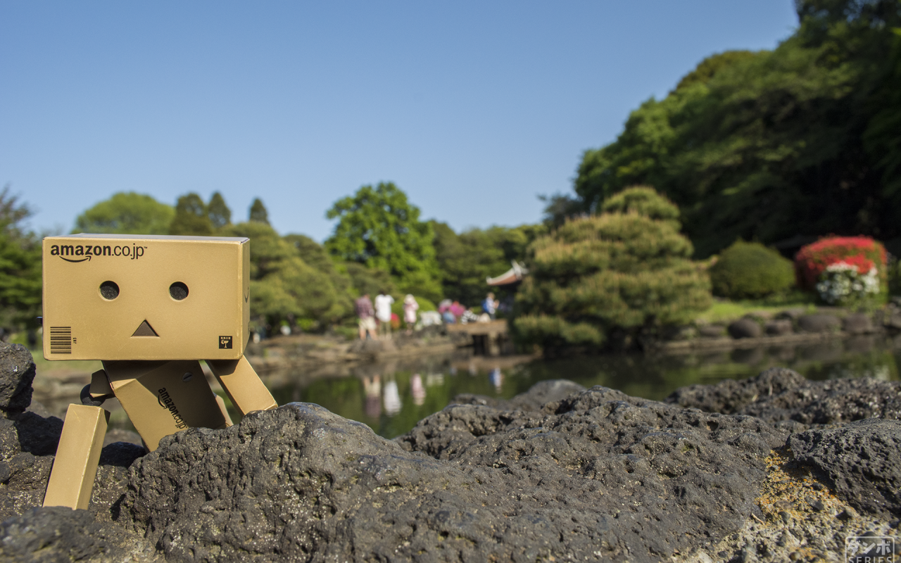 Данбору кун прячется за камнем