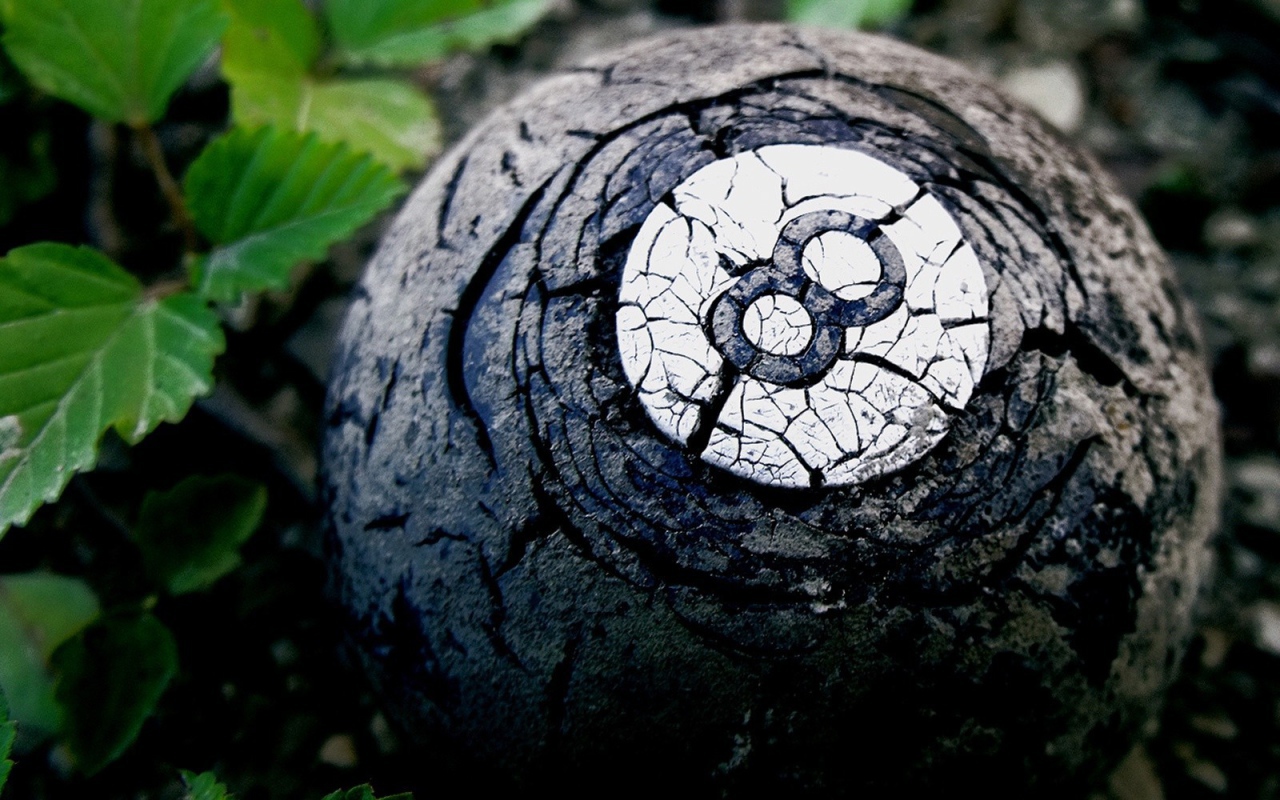 Старый бильярдный шар в лесу