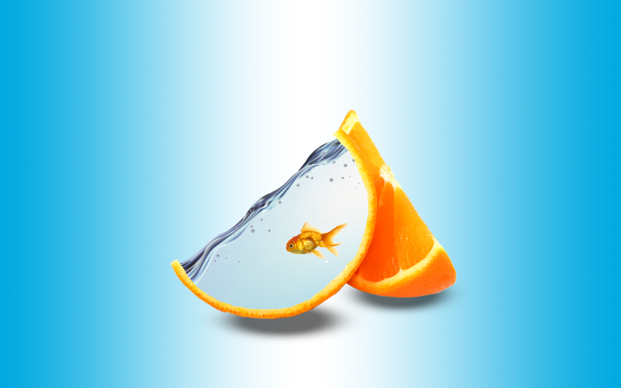 Долька апельсина в качестве аквариума