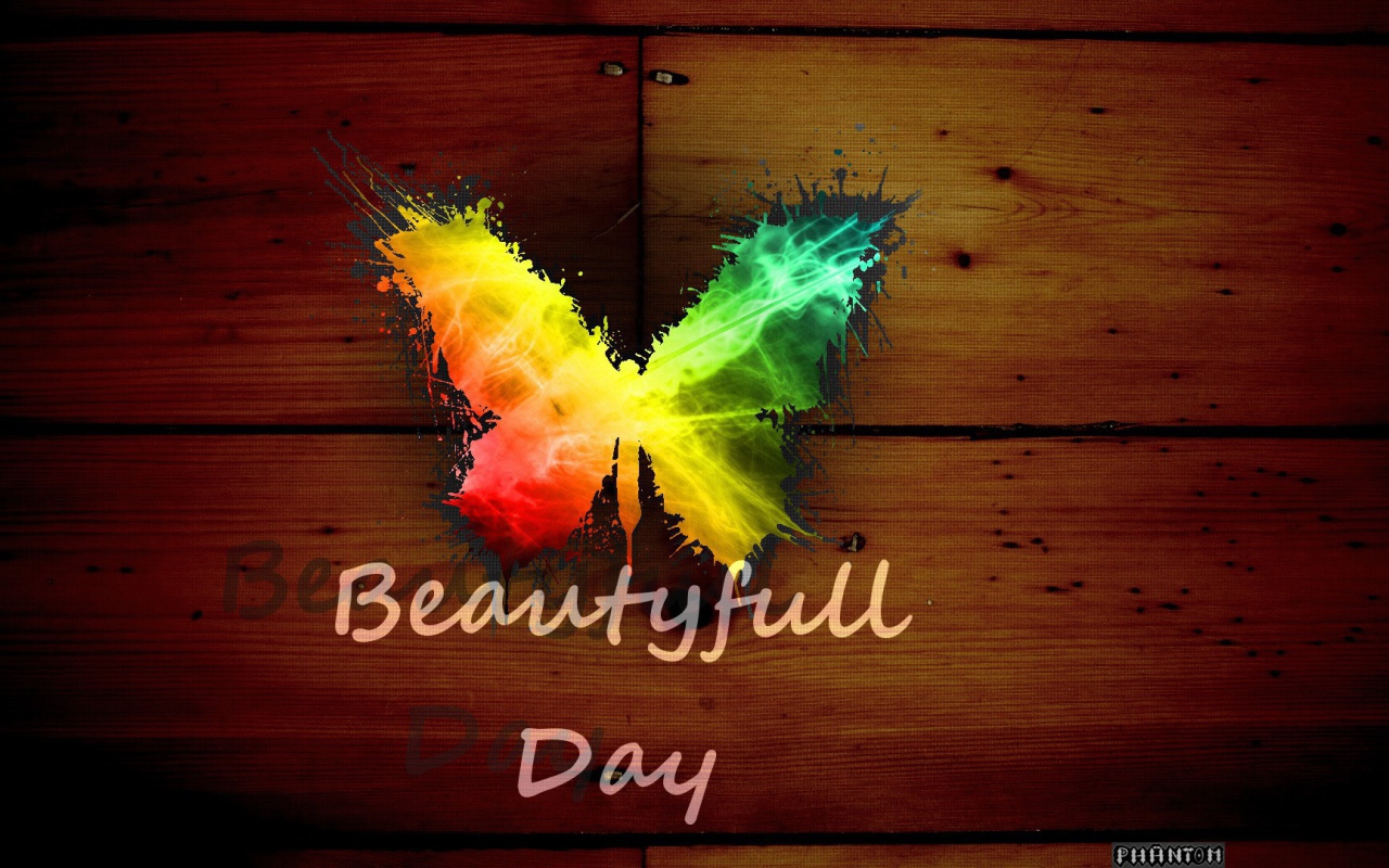 Радужная бабочка, прекрасный день