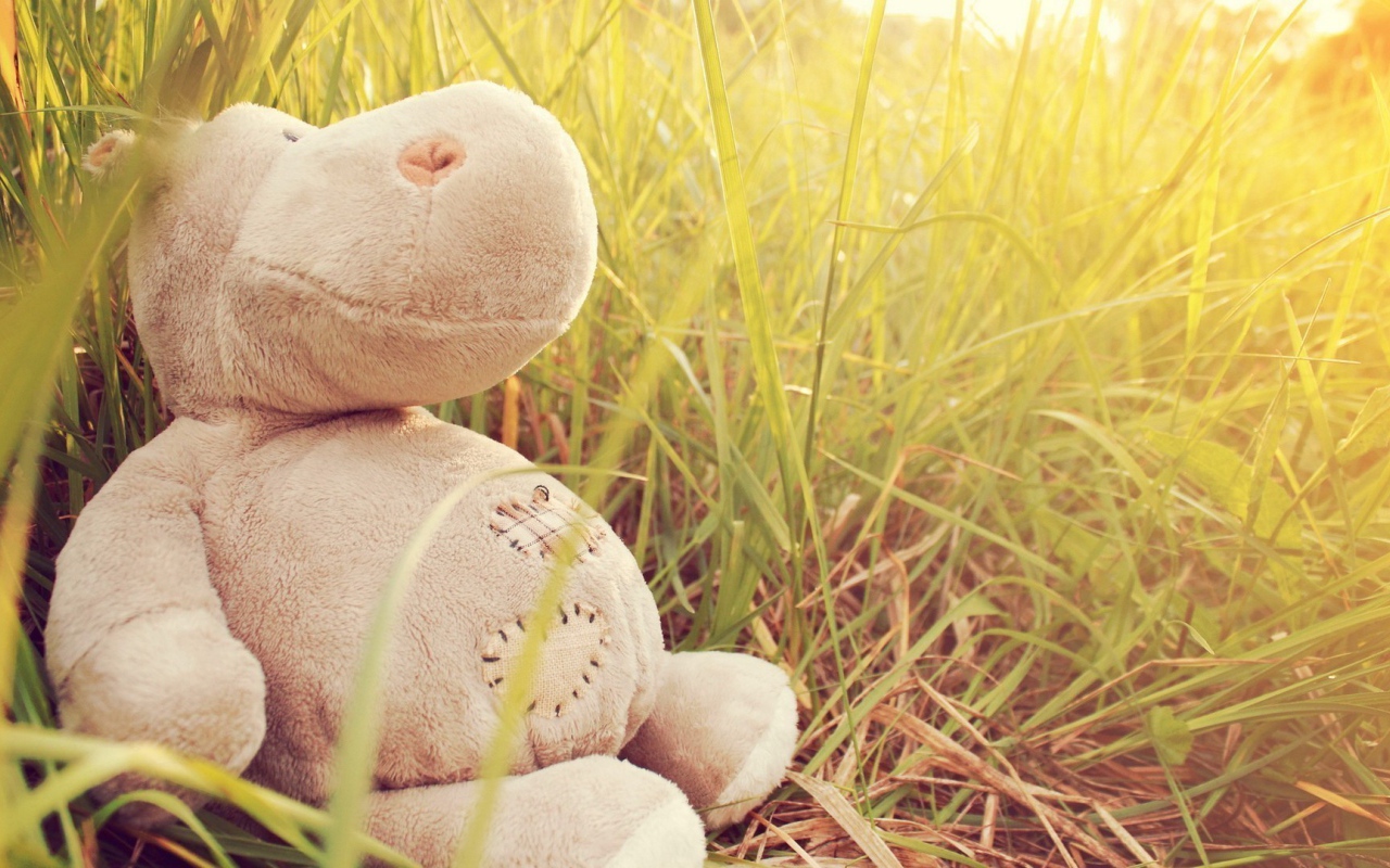 Игрушечный бегемот в траве