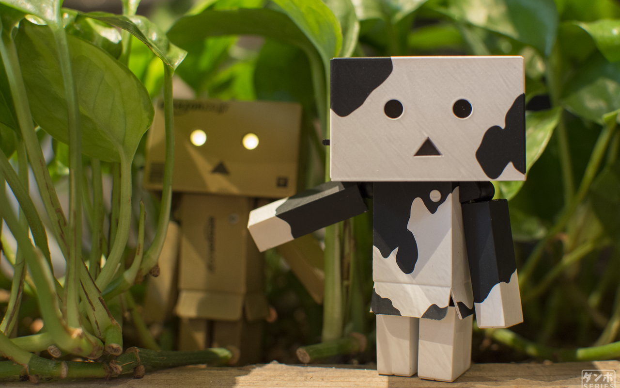 Два Дандо под листьями