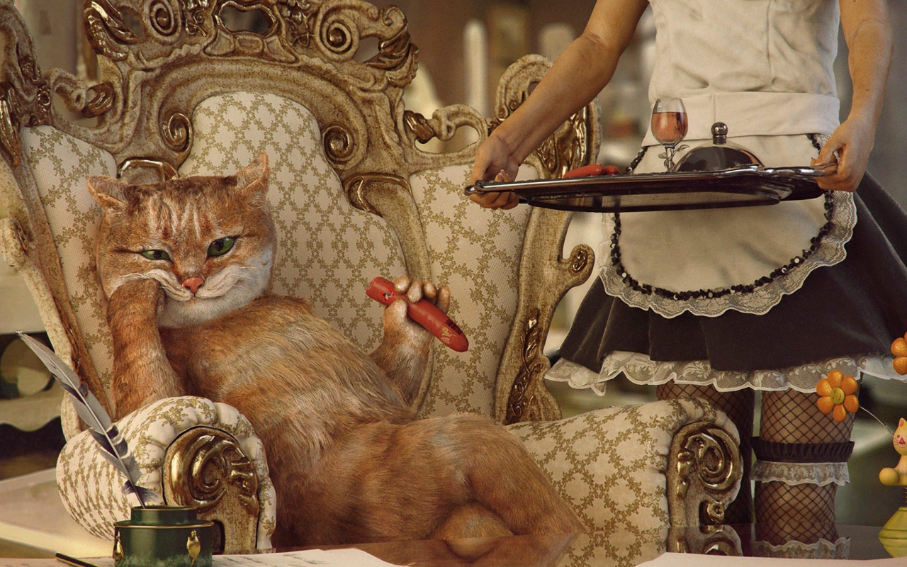 Кот аристократ в богатом доме