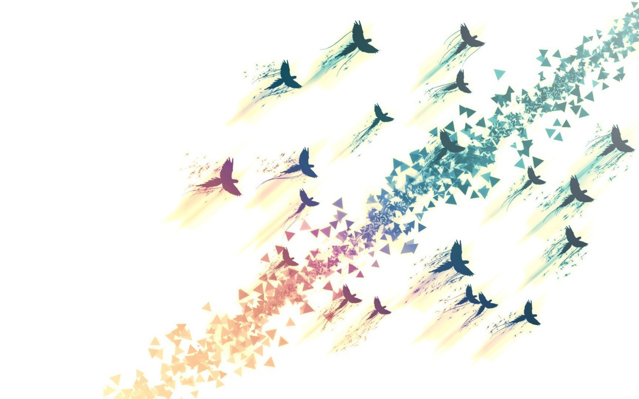 Нарисованные птицы на белом фоне