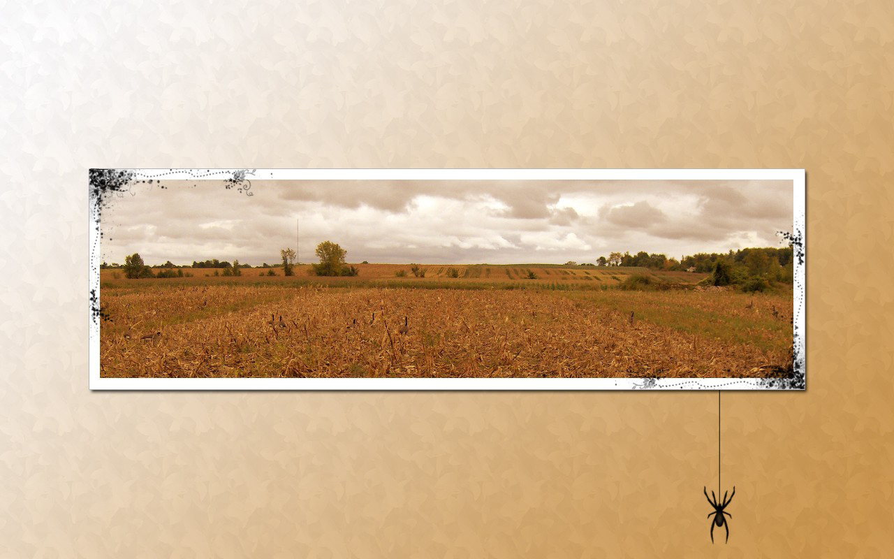 Паук на картине