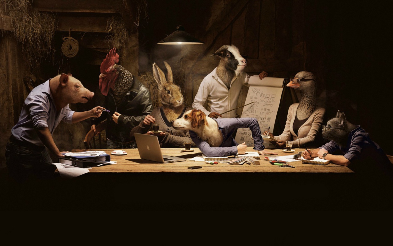 Животные на совещании