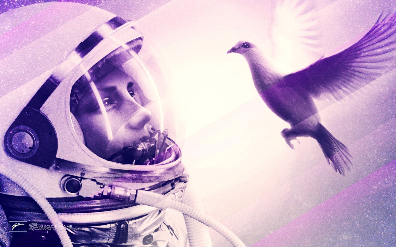 Космонавт смотрит на птицу