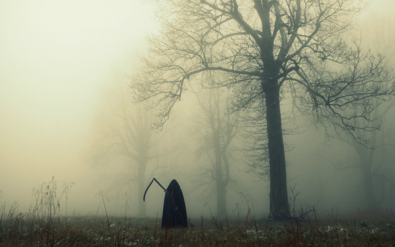 Смерть в темном лесу