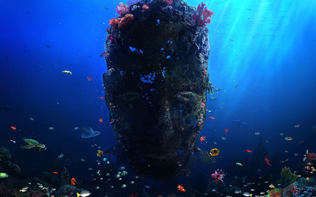 Лицо из кораллов под водой