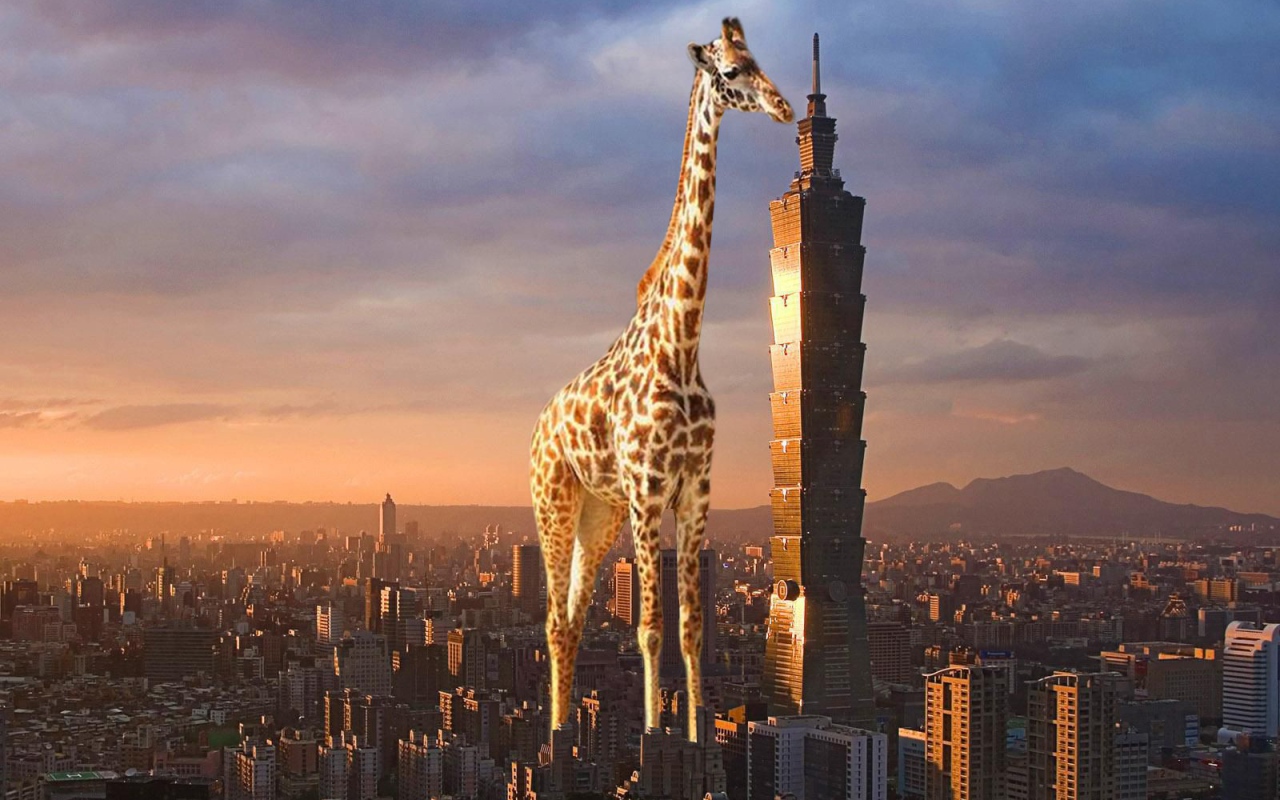 Жираф выше небоскреба