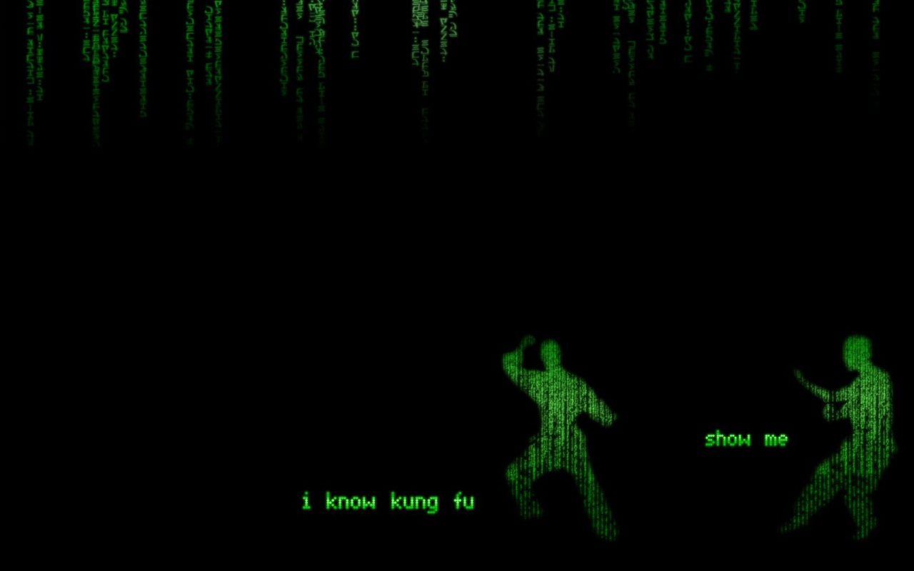 Кунг-фу в Матрице