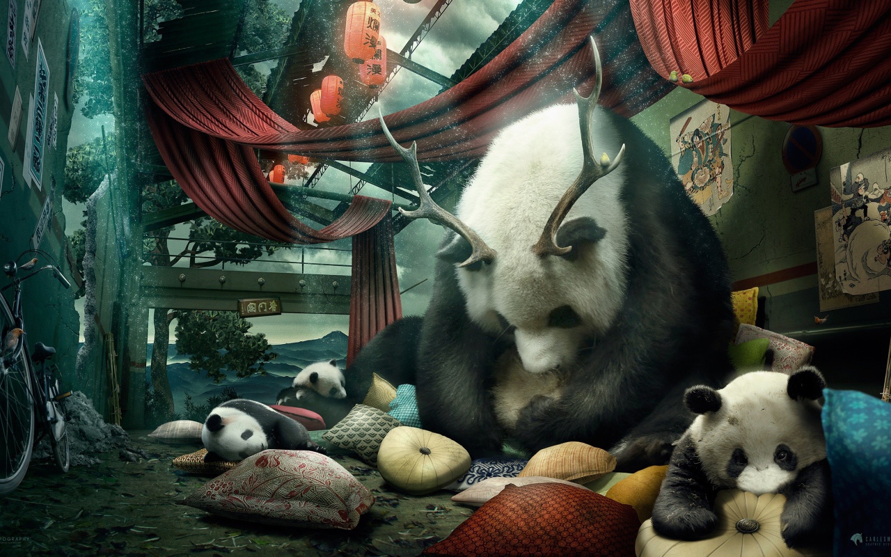 Мама панда с рогами